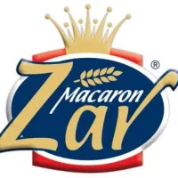 استخدام ویزیتور