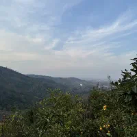 باغ مرکبات