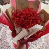 گل روز مادر ابیک|گل و گیاه طبیعی|آبیک, |دیوار