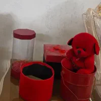 باکس و خرس قرمز نو