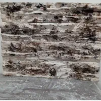 قالب ژله ای گچکاریزیرقیمتکیلوی110|فعالیت داوطلبانه تحقیقاتی|رشت, پل تالشان|دیوار