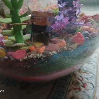 آکواریوم بزرگ|گل و گیاه طبیعی|مریوان, |دیوار