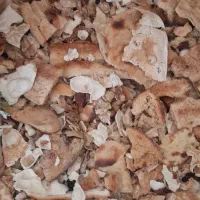 نان خشک تمیز بدون کپک