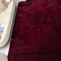 فرش|فرش|تنکابن, |دیوار