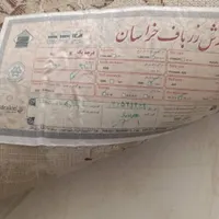 دو عدد فرش ماشینی 12متری