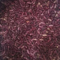 لوبیا قرمز کپسولی(فقط عمده )|خوردنی و آشامیدنی|رستم, |دیوار