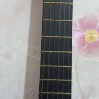 گیتار|گیتار، بیس، امپلیفایر|نهاوند, |دیوار