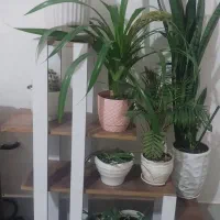 پایه گل چوبی