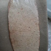 نان جو رژیمی|عمدهفروشی|تهران, باغ فردوس|دیوار