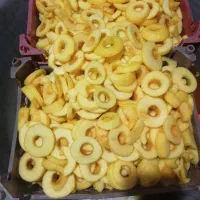 لواشک محلی میوه خشک سیب زردآلوشلیل هلو آلبالو|خوردنی و آشامیدنی|بندر ترکمن, |دیوار