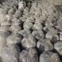 تفاله چغندر و علوفه