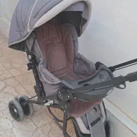 کالسکه دلیجان|کالسکه و لوازم جانبی|فردوس (خراسان), |دیوار