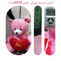 خرس های نشسته کودک شازده