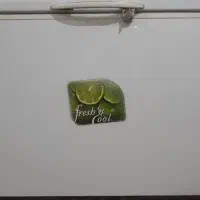 یخچال صندوقی110