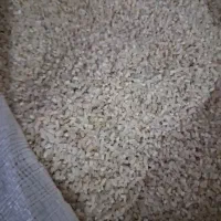 نیم دانه هاشمی
