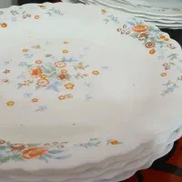 ظروف ارکوپال نو