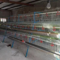 قفس مرغ تخمگذار