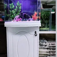 فروشگاه آکواریوم و ماهی گلدن فیش