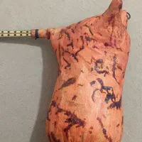 نی انبان