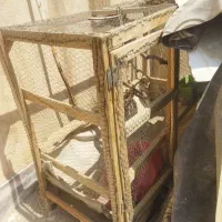 قفس توری سالم حدودا یک در یک
