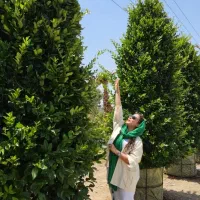 باغبانی، طراحی اجرا، نگهداری، باغچه (محوطه سازی