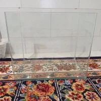 آکواریوم ماهی|ماهی|اقبالیه, |دیوار