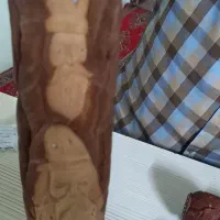 ۳عدد عصا کار دست|صنایع دستی و سایر لوازم تزئینی|مشهد, خواجه ربیع|دیوار