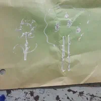فروش علف یونجه