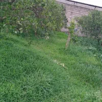 ۱۶۰متر زمین روستای ناریوران زوارده داخل بافت