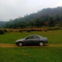 پزو ۴۰۵ نوک مدادی متالیک ۸۸