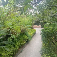 اجاره سوییت یک خواب سلیمان آباد|اجارهٔ کوتاه‌مدت ویلا و باغ|تنکابن, |دیوار