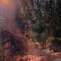 دوخوابه فاز چهار شیروونی قرمز