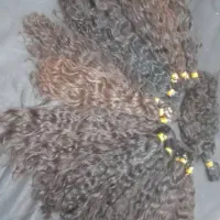 خریدار اصلی مو