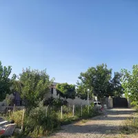 مرغداری . زمین زعفران.باغ|فروش دفتر صنعتی، کشاورزی، تجاری|مشهد, الهیه|دیوار