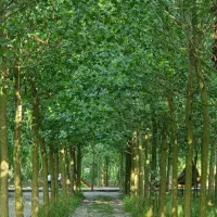 ازشهر جداشو ، به آرامش واقعی وصل شو.|فروش خانه و ویلا|داران, |دیوار