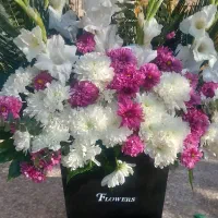 فروش گل سرسع