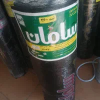 ایزوگام علی ابادی