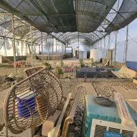 سند-تکبرگ-گلخانه