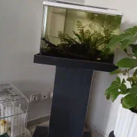 آکواریوم  پلنت بسیار زیبا