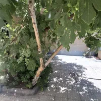 فروش-ویلایی-200-متری-قرچک-طلائیه-قابل-نشستن