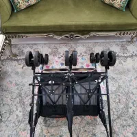 کالسکه دوقلو عصایی (دلیجان)|کالسکه و لوازم جانبی|دماوند, گیلاوند|دیوار