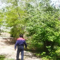 اجاره باغ ویلا در رباط طرق