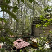 آپارتمان ۱۸۵متری سه خواب در کوهسار درکه