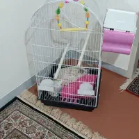 قفس بزرگ