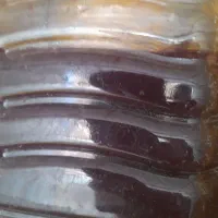 خوج ابکرده آلبالو آلوچه ازگیل سیر|خوردنی و آشامیدنی|رشت, لاکانی|دیوار