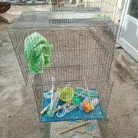 قفس قناری لوازم|لوازم جانبی حیوانات|شهرکرد, |دیوار