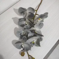 گل ارکیده لمسی وارداتی