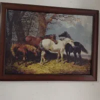 حراج|تابلو، نقاشی، عکس|تهران, هلال احمر|دیوار