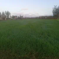 دو قطعه زمین به مساحت ۴۵۰متر و ۱۵۰۰مترروستای نوچمن|فروش زمین و ملک کلنگی|گرگان, |دیوار