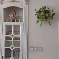 پتوس ، آلوئه ورا ، سانسوریا ، کاکتوس ، پاندانوس